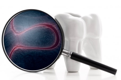 The Sacramento Dentistry Group Fights Gum Disease