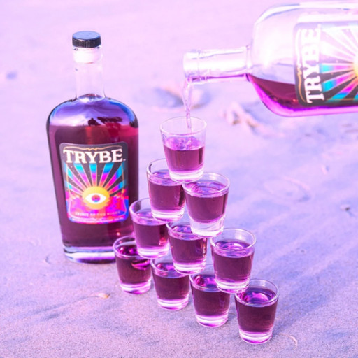 Fast Moving Consumer Goods Welcomes Trybe Spirits to Its FMCG Incubator