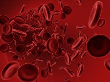 Red blood cells