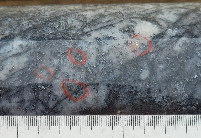 Mawson Gold Limited, Monday, November 21, 2022, Press release picture