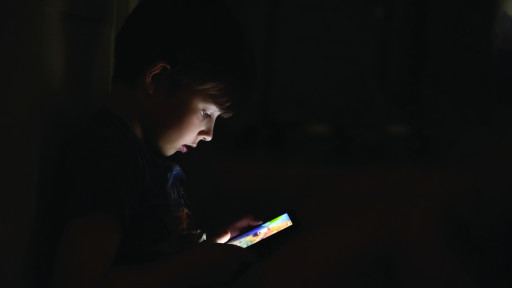 Push to Hold Social Media Companies Accountable for Child Exploitation Organized by The Mama Bear Effect
