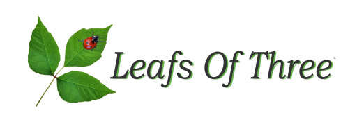 Leafs Of Three Announces Franchising Opportunity
