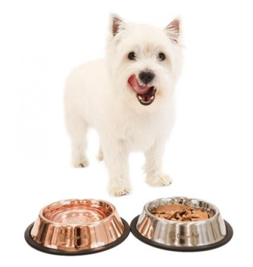 Say Goodbye to Slimy Pet Bowls!