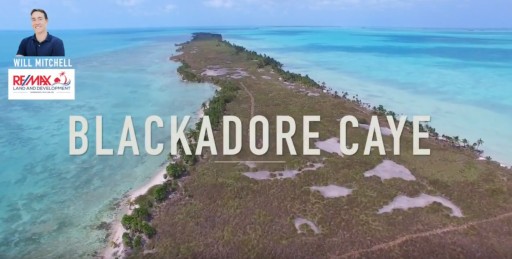 RE/MAX Belize Agent Will Mitchell Releases HD Drone Video of Actor Leonardo DiCaprio's Private Island Blackadore Caye