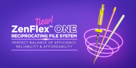 ZenFlex ONE Reciprocating File system