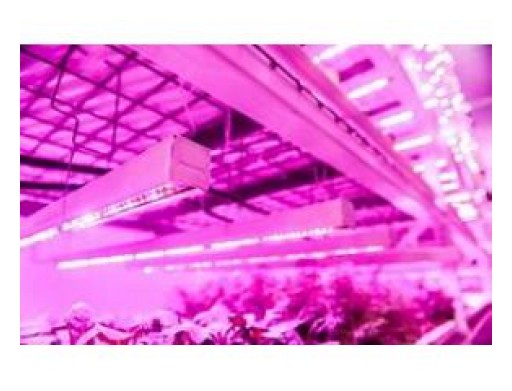 Global LED Agricultural Grow Lights Market Research Report 2018
