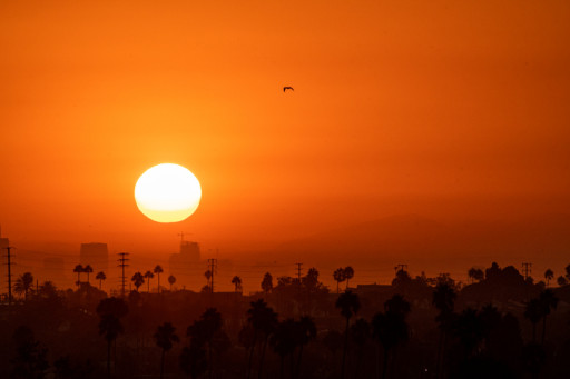 Racing Toward an All-Electric Future - But is California's Grid Ready?