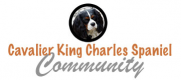 Cavalier King Charles Community