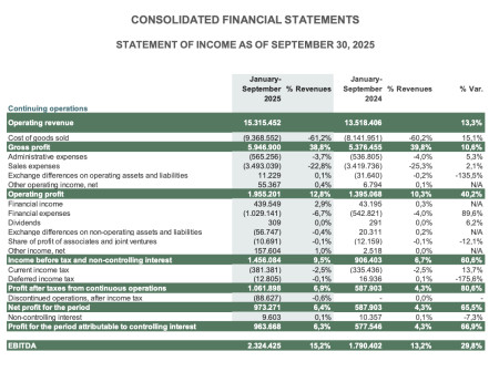 CONSOLIDATED FINANCIAL STATEMENTS