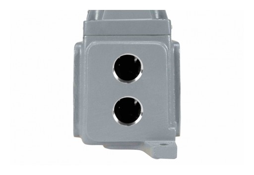 Larson Electronics Releases Explosion Proof Outlet, (2) 1" NPT Hubs, 20-Amp Rated