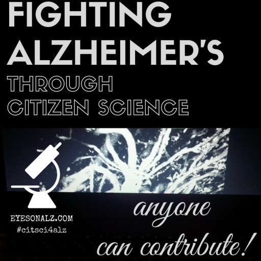 Citizens Can Fight Alzheimer's Directly With a New Online Game