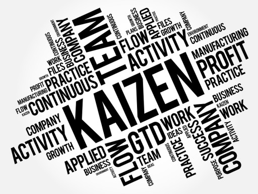 Kaizen and the Art of Continuous Improvement Drive CEO Brandon Frere