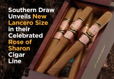 Southern Draw Rose of Sharon Lancero Cigars
