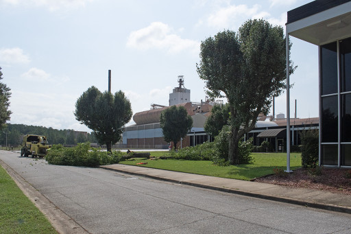 AGY Supports Clemson University's Bradford Pear Bounty Initiative