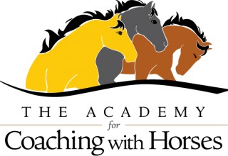 The Academy for Coaching with Horses