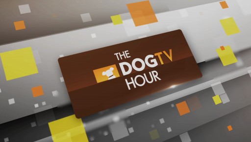 The DOGTV Hour - Now on Animal Planet