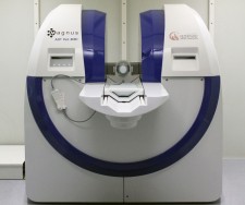 Magnus AIP-Vet MRI