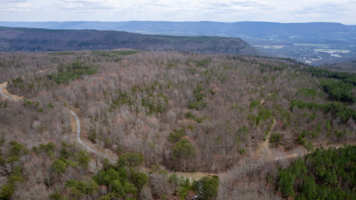 Tennessee Land Auction