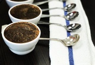 SteamDot Coffee Cupping