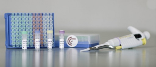 Early Detection of Cervical Cancer: GynTect 2.0 - Wider Range of Application by Using a Greater Variety of Patient Samples