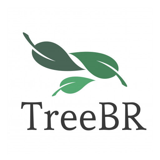 TreeBR Carbon Offsets Inc. Announces Its Intent to Directly Support Amazon Rainforest Preservation Through a Share Offering With Underlying Carbon Credits