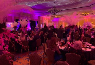 Unmask The Masquerade Charity Gala