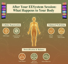 After Your EESystem™ Session: What Happens to Your Body