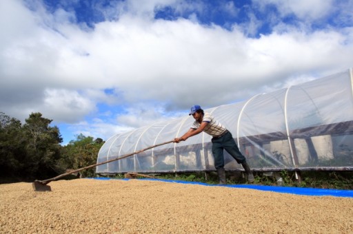 Honduras' Rich Coffee Culture is Ready to Delight International Travelers