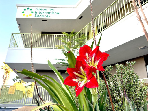 NYC’s Acclaimed Green Ivy International Schools is Expanding to Silicon Valley