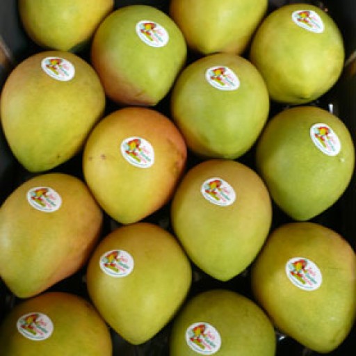 Plantations International to Import Australian Mangoes Into Indonesia