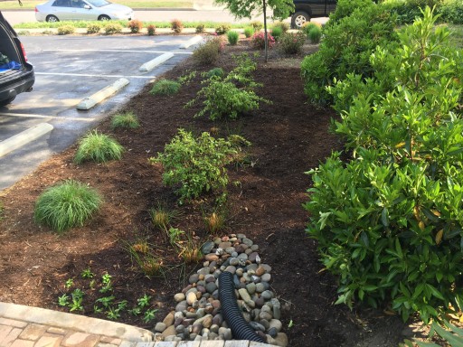 Welligent Builds Rain Garden in Collaboration With Elizabeth River Project, Bay Environmental, and City of Norfolk