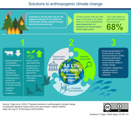 Solutions to anthropogenic climate change