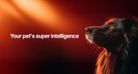 Pluto Pets - Your pet's super intelligence