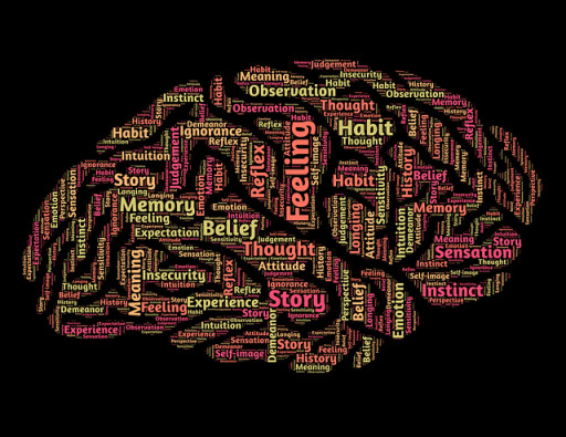 Best Memory Supplements: Memory Pills on the Market in 2025