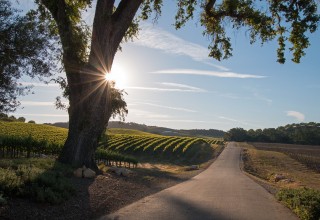 California Backroads