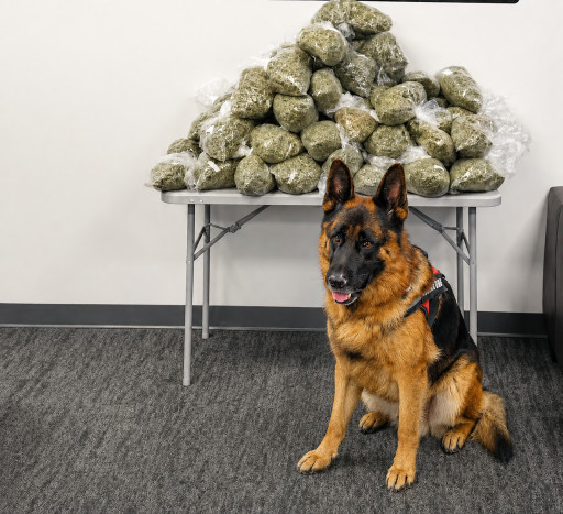Governments Ill-Fated Marijuana Decision Now Collides With the Street, the Science and the Courtroom
