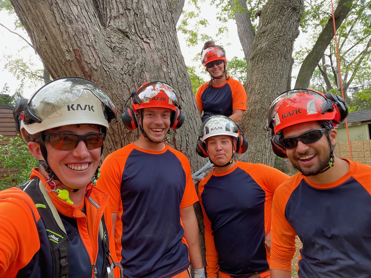 The Vista Tree Management team on-site