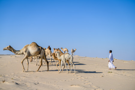 Qatar National Tourism Council