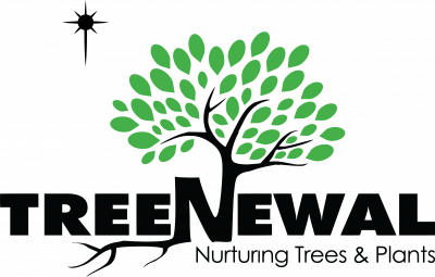 TreeNewal, LLC