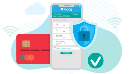 SpringPay powered by Zoop