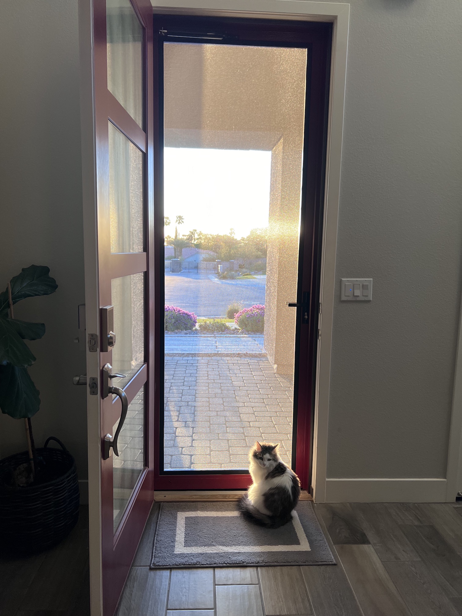Security Door 