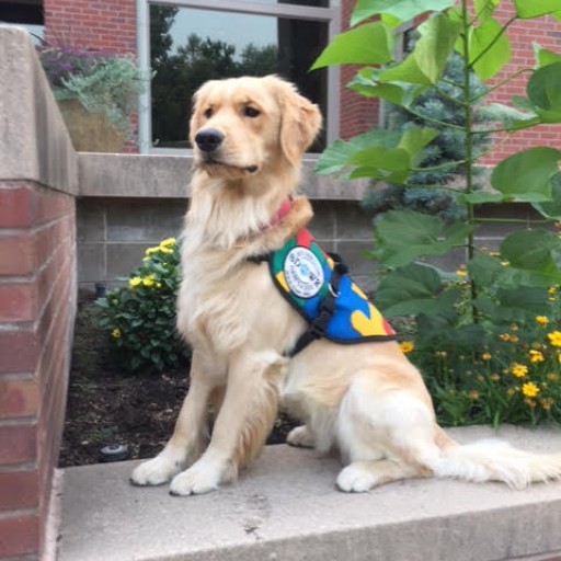 Trained Autism Response Service Dog to Help Young Woman in Walla Wallla, WA