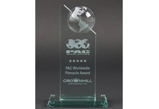 PAC Pinnacle Award Zoomed in 