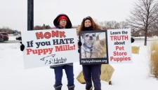 Harley's Dream volunteers protesting a Minnesota pet store that sells puppies and kittens