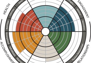 Flourishing Profile Example Results