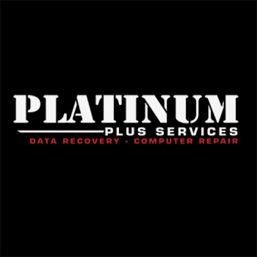Payment Plan for Data Recovery Services - Platinum Plus Services