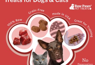Raw Paws Freeze Dried Beef Treats for Dogs & Cats
