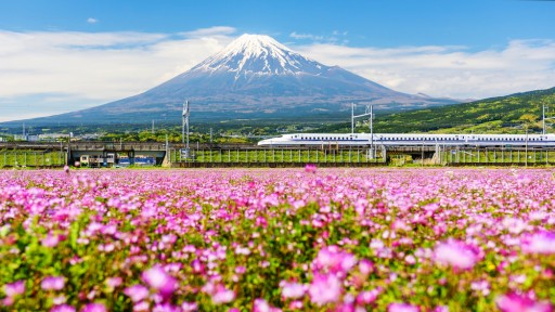 Japanese Train Bookings to Increase by 30% Over the Spring