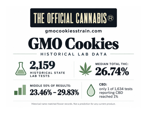 GMO Cookies Strain Guide Clarifies Potency, Genetics and Competing Name Origins