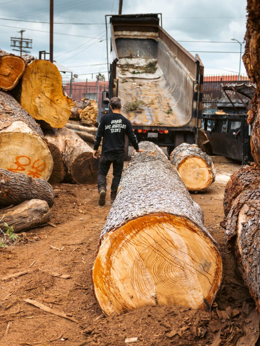 Angel City Lumber Partners With the U.S. Forest Service to Re-Localize Lumber in Los Angeles